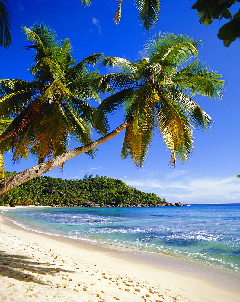 Beach, Anse Takamaka, Mahe Island, Seychelles