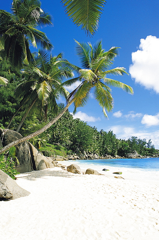 Beach, Seychelles