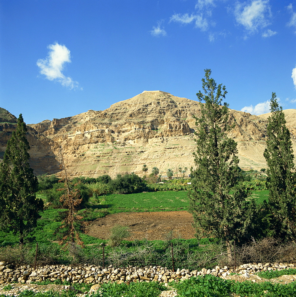 Mount of Temptation, near Jericho, Israel, Middle East