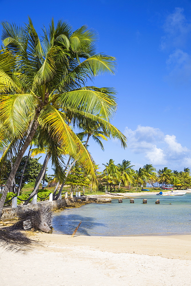 Clifton Harbour, Union Island, The Grenadines, St. Vincent and The Grenadines, West Indies, Caribbean, Central America