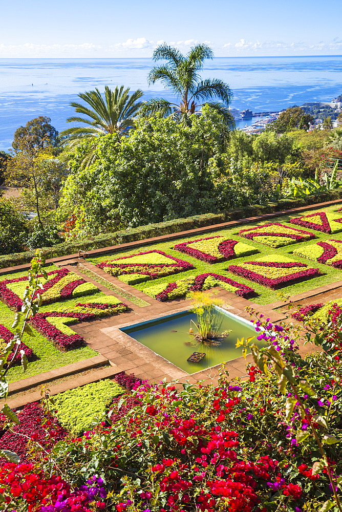 Botanical Gardens, Monte, Funchal, Madeira, Portugal, Atlantic, Europe