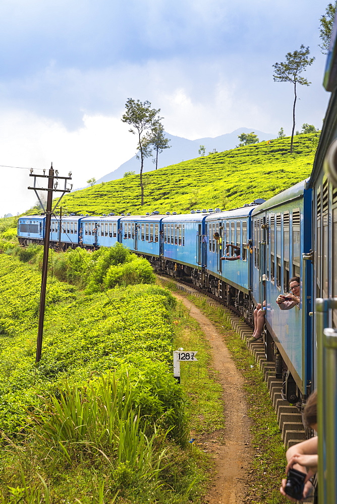 Kandy to Badulla train alongside tea estate, Nuwara Eliya, Central Province, Sri Lanka, Asia