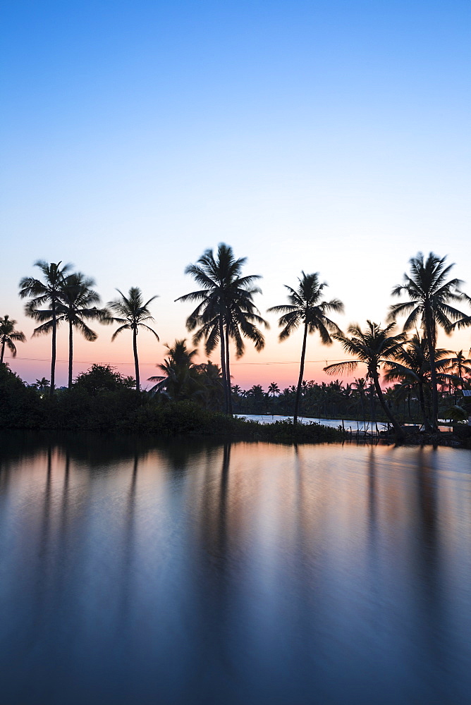 Palm trees reflecting in backwaters, Munroe Island, Kollam, Kerala, India, Asia