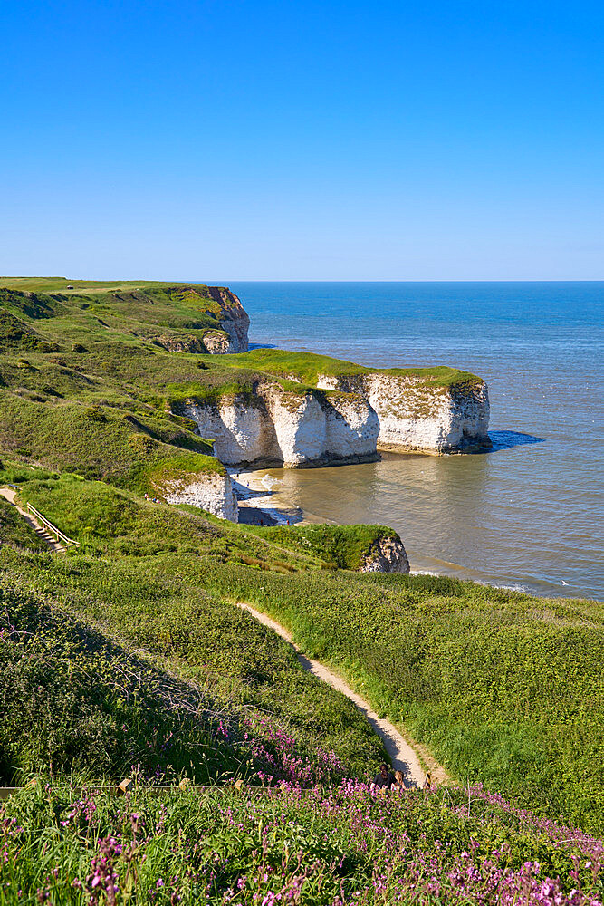 Flamborough Head, Yorkshire, England, United Kingdom, Europe