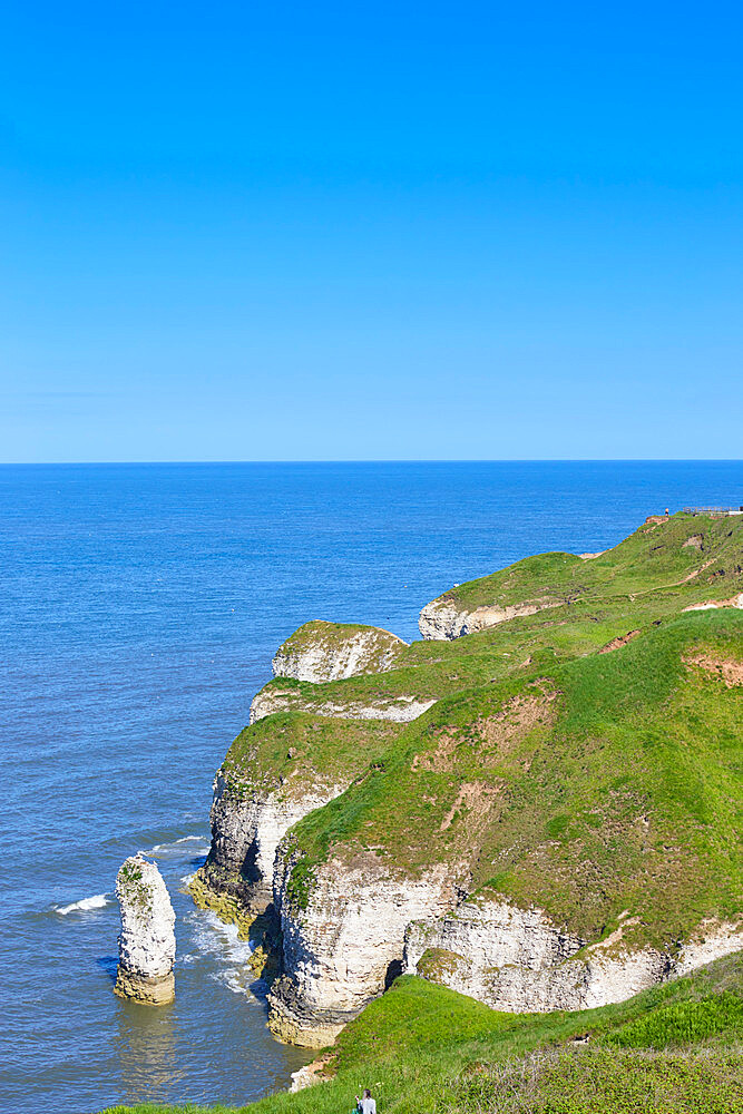 Flamborough Head, Yorkshire, England, United Kingdom, Europe