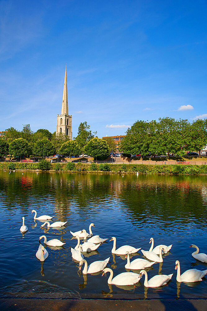 View of River Severn and St. Andrews Church, Worcester, Worcestershire, England, United Kingdom, Europe