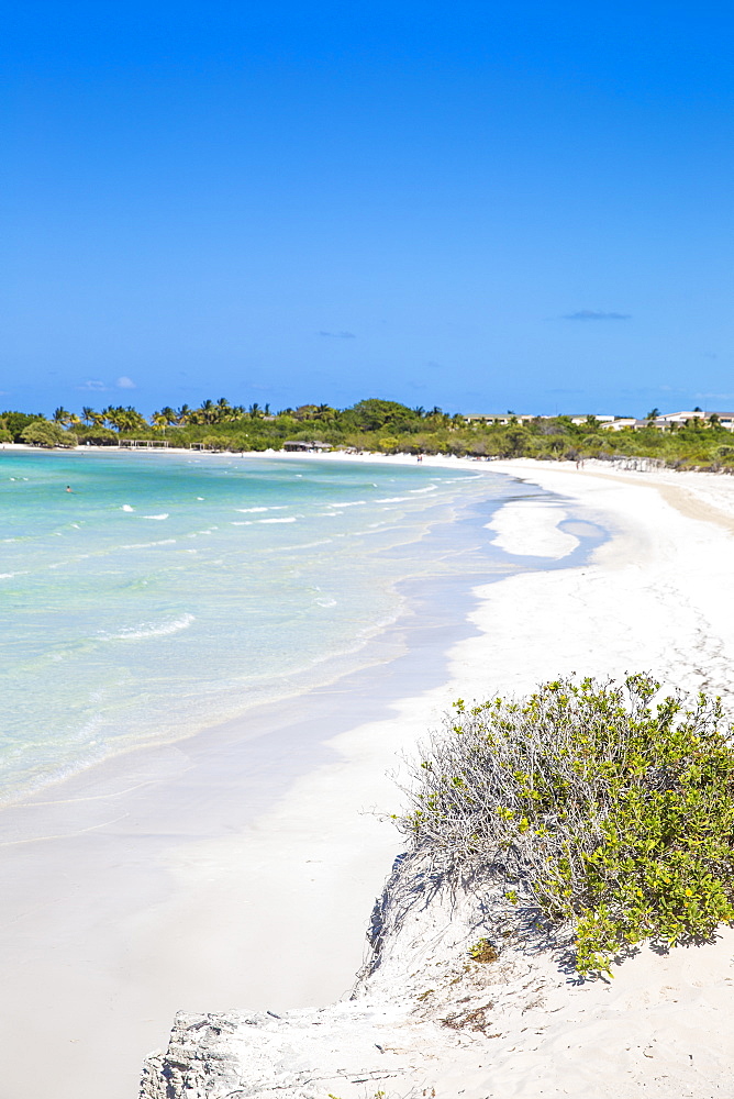 Playa Larga, Cayo Coco, Jardines del Rey, Ciego de Avila Province, Cuba, West Indies, Caribbean, Central America