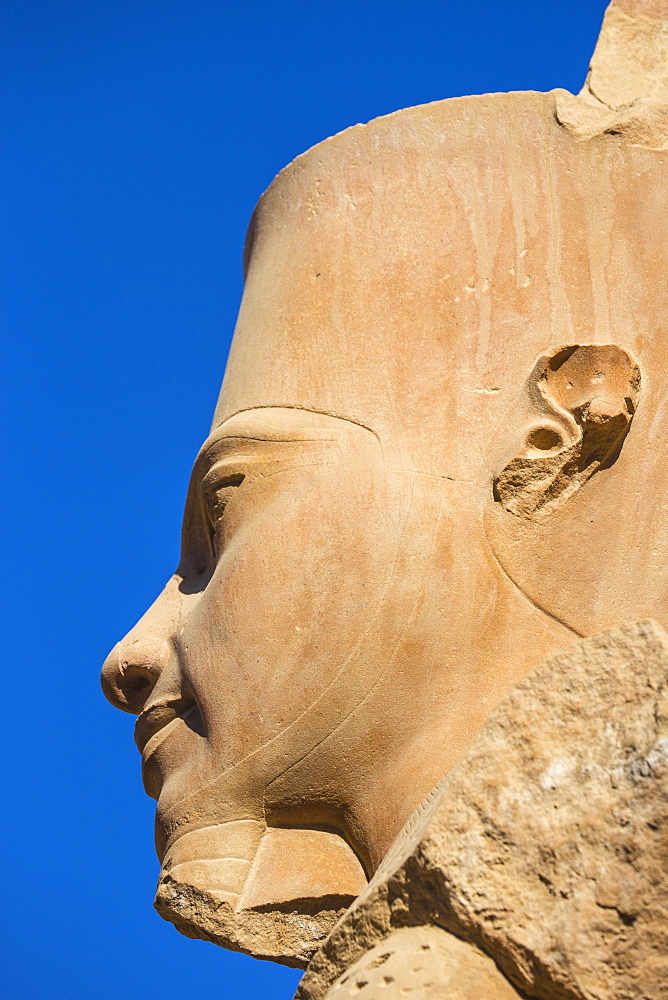 Statue of Tutankhamun, Karnak Temple, UNESCO World Heritage Site, near Luxor, Egypt, North Africa, Africa