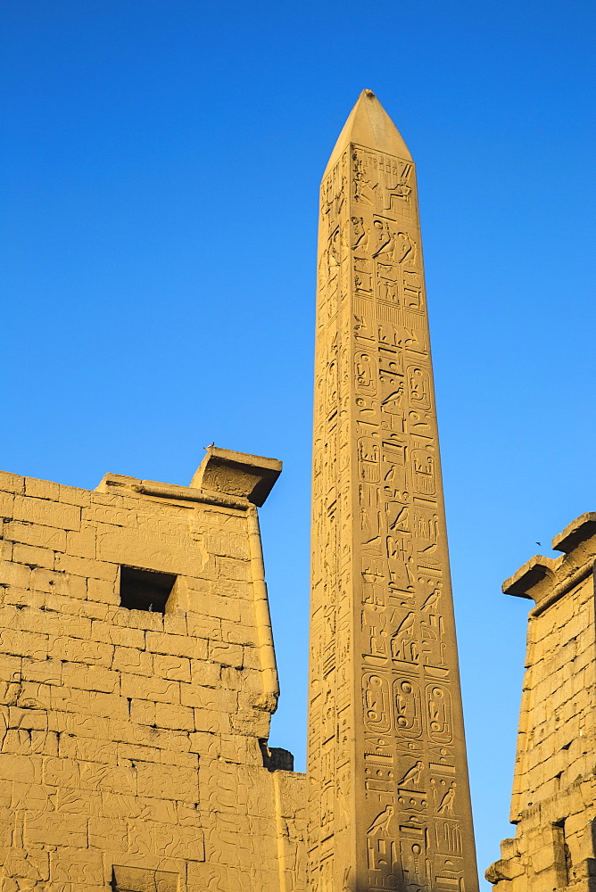 Oblelisk at temple entrance, Luxor Temple, UNESCO World Heritage Site, Luxor, Egypt, North Africa, Africa