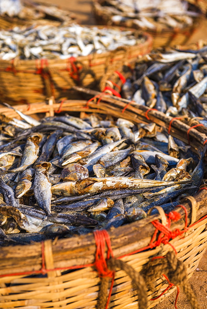 Fish drying in baskets at Negombo fish market (Lellama fish market), Negombo, West Coast of Sri Lanka, Asia