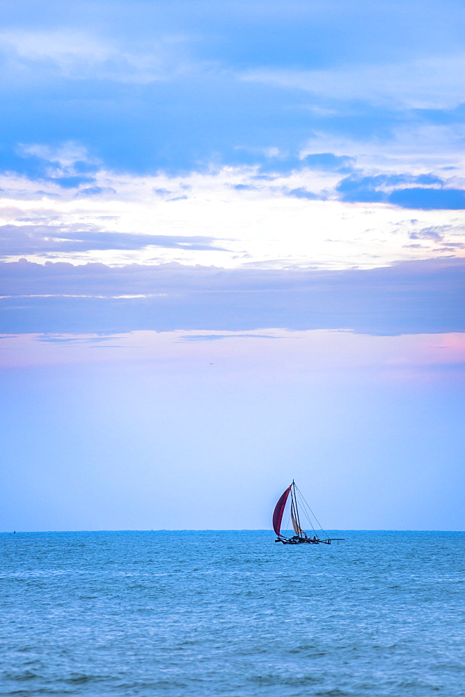 Negombo, traditional outrigger fishing boat (oruva) returning at sunrise to Negombo fishing market, Sri Lanka, Asia