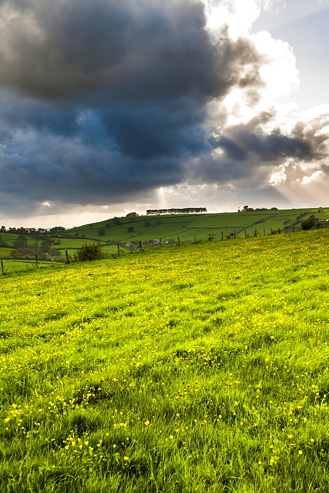 Countryside around Bath, Avon and Somerset, England, United Kingdom, Europe 