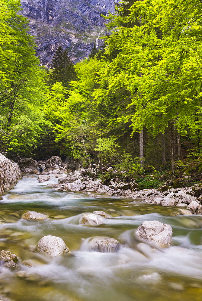 Bohinj River in the Bohinj Basin, Triglav National Park, Julian Alps, Slovenia, Europe