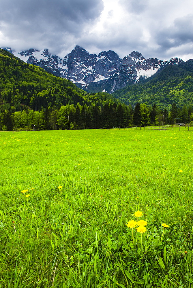 Juilan Alps just outside Kranjska Gora, Triglav National Park, Upper Carniola, Slovenia, Europe