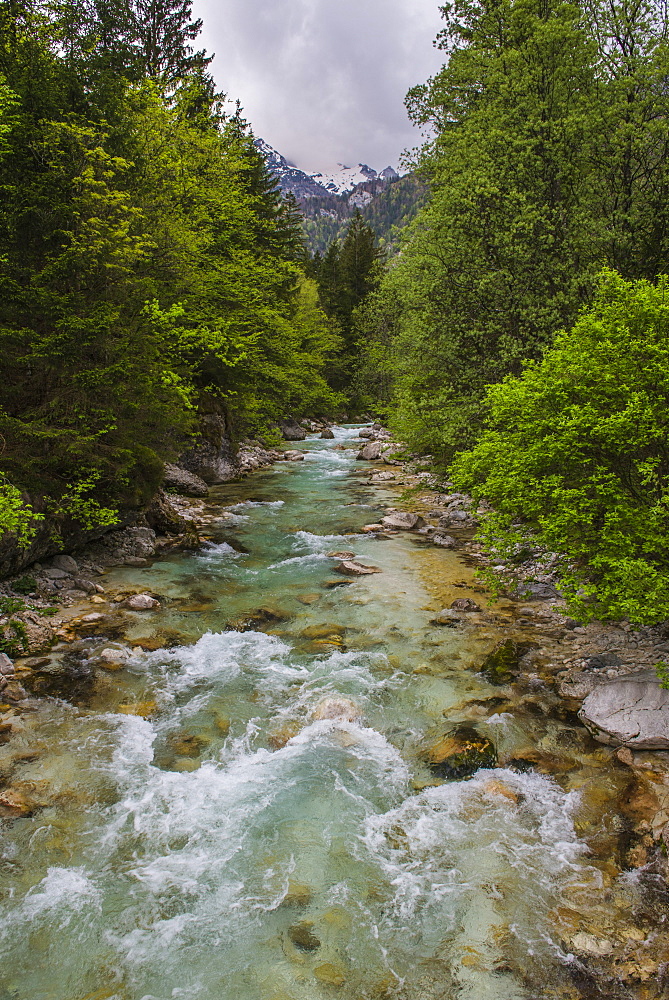 Soca River in the Soca Valley, Triglav National Park (Triglavski Narodni Park), Julian Alps, Slovenia, Europe