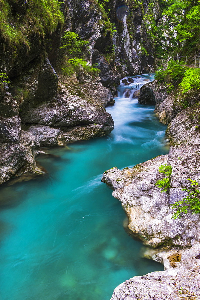 Tolminka River, Tolmin Gorges, Triglav National Park (Triglavski Narodni Park), Slovenia, Europe