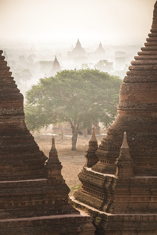 Sunrise at the Temples of Bagan (Pagan), Myanmar (Burma), Asia