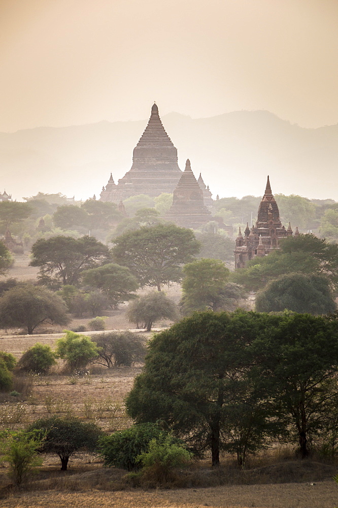 Mingalazedi Pagoda at the Temples of Bagan (Pagan) at sunset, Myanmar (Burma), Asia