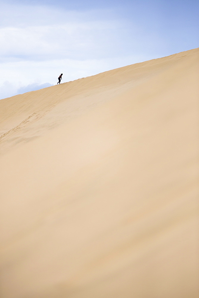 Tourist climbing Te Paki Sand Dunes on 90 Mile Beach, Northland, North Island, New Zealand, Pacific