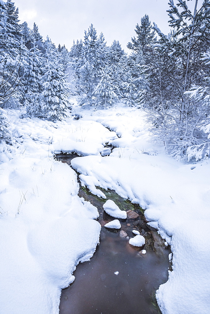 Snowy landscape at CairnGorm Mountain, Cairngorms National Park, Scotland, United Kingdom, Europe