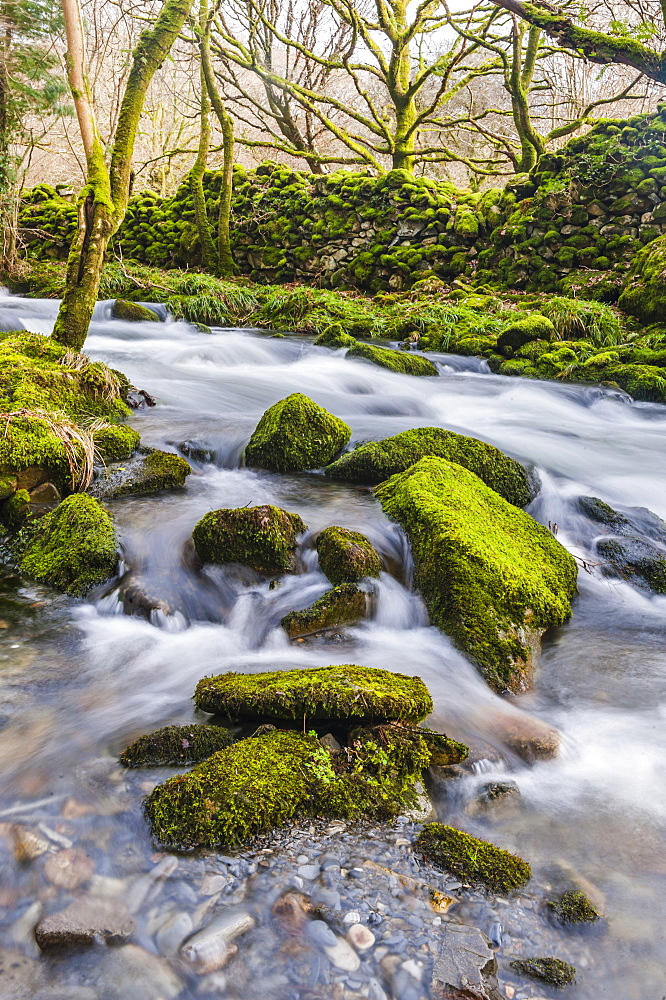 River in the foothills of Cnicht, Croesor Valley, Snowdonia National Park, Gwynedd, North Wales, Wales, United Kingdom, Europe