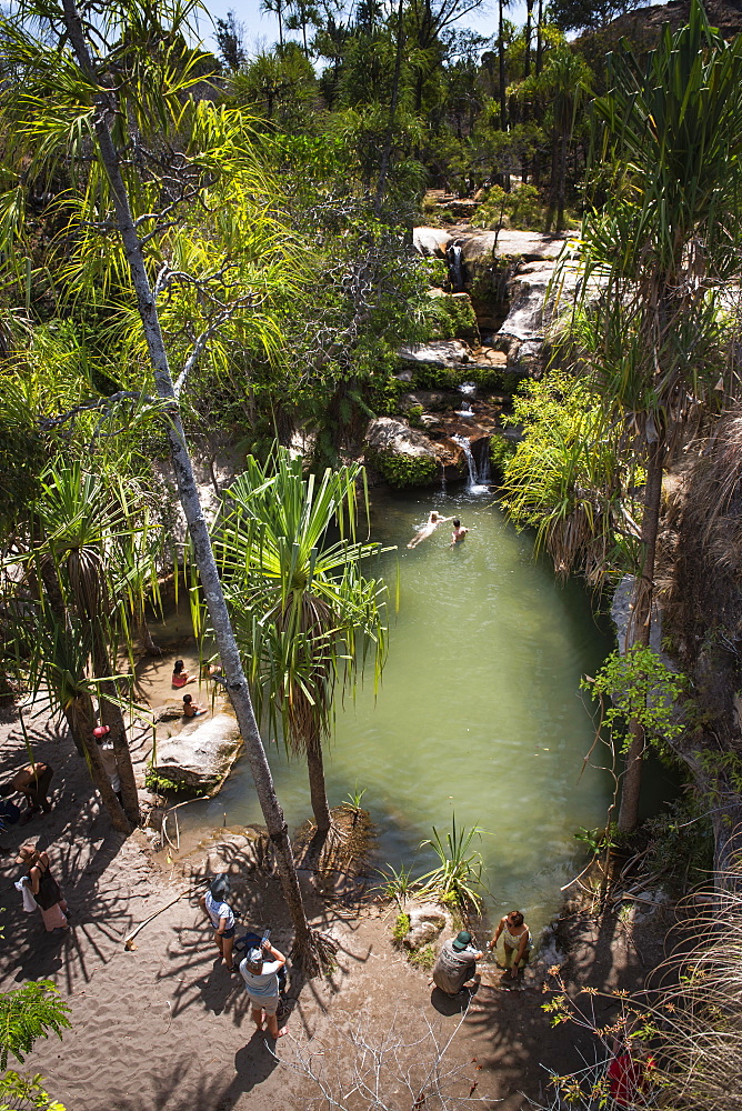 Oasis in Isalo National Park, Ihorombe Region, Southwest Madagascar, Africa