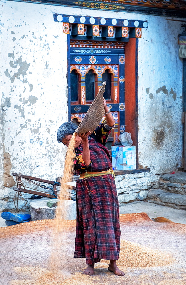 Traditional rice sifting at Tshangkha Village, near Trongsa, Bhutan, Asia