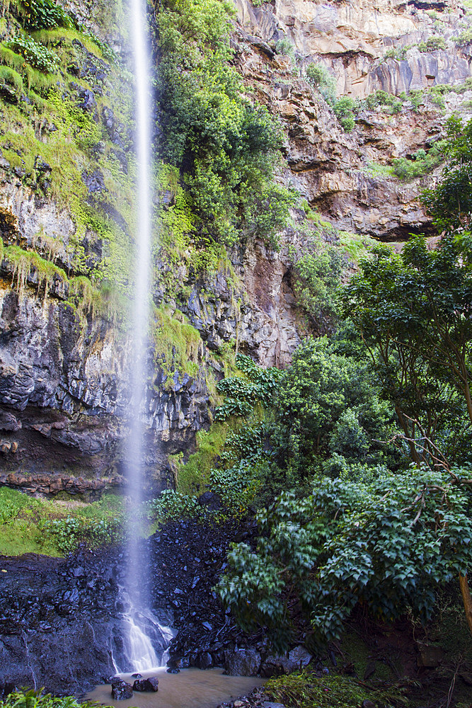 View of the heart-shaped waterfall just outside Jamestown on Saint Helena, South Atlantic Ocean