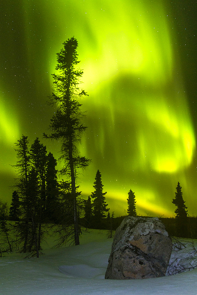 Aurora Borealis, or Northern Lights, over the boreal forest on the Great Slave Lake, Northwest Territories, Canada.