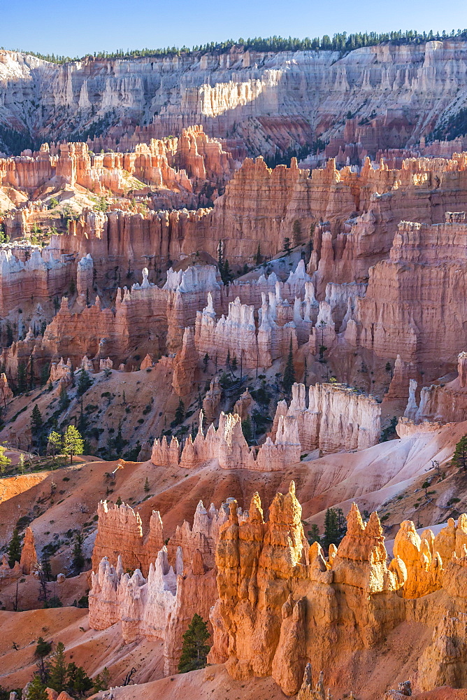 Hoodoo rock formations in Bryce Canyon Amphitheater, Bryce Canyon National Park, Utah, United States of America, North America 