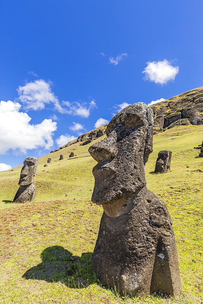 Rano Raraku, the quarry site for all moai statues on Easter Island (Isla de Pascua) (Rapa Nui), UNESCO World Heritage Site, Chile, South America