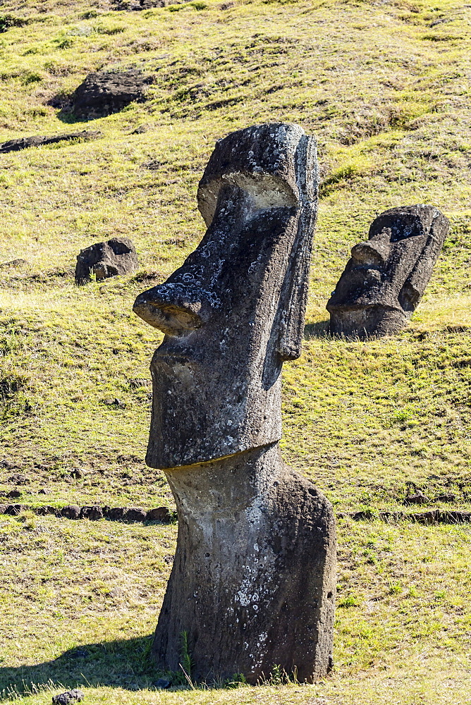 Rano Raraku, the quarry site for all moai statues on Easter Island (Isla de Pascua) (Rapa Nui), UNESCO World Heritage Site, Chile, South America