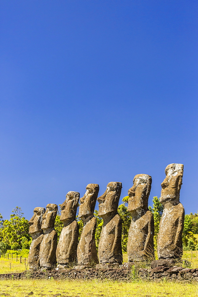 Seven Moai at Ahu Akivi, the first restored altar on Easter Island (Isla de Pascua) (Rapa Nui), UNESCO World Heritage Site, Chile, South America