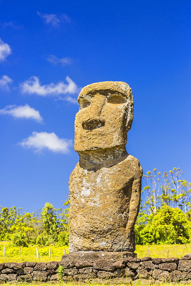 Detail of a moai at Ahu Akivi, the first restored altar on Easter Island (Isla de Pascua) (Rapa Nui), UNESCO World Heritage Site, Chile, South America