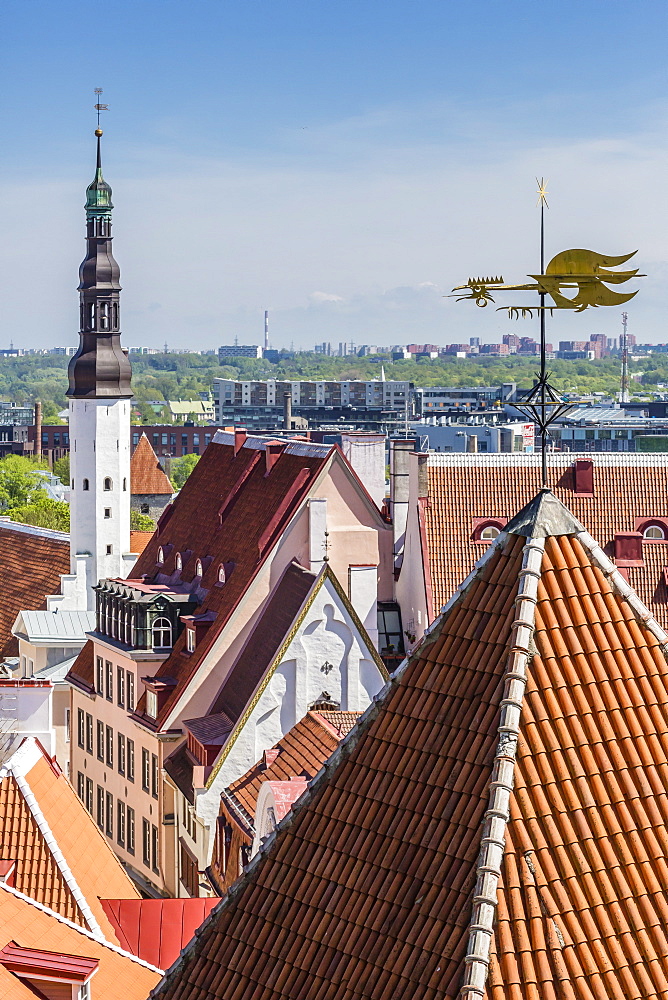 Aerial view of the walled part of Old Town, UNESCO World Heritage Site, in the capital city of Tallinn, Estonia, Europe