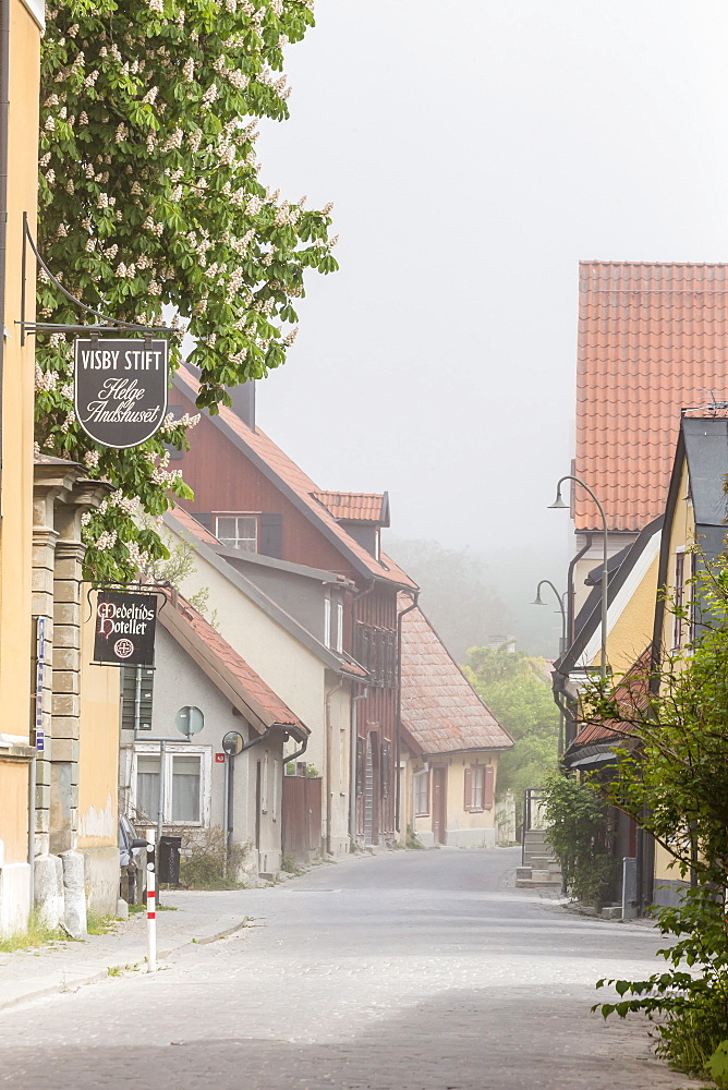 Cottages and cobblestone streets in the town of Visby, UNESCO World Heritage Site, Gotland Island, Sweden, Scandinavia, Europe