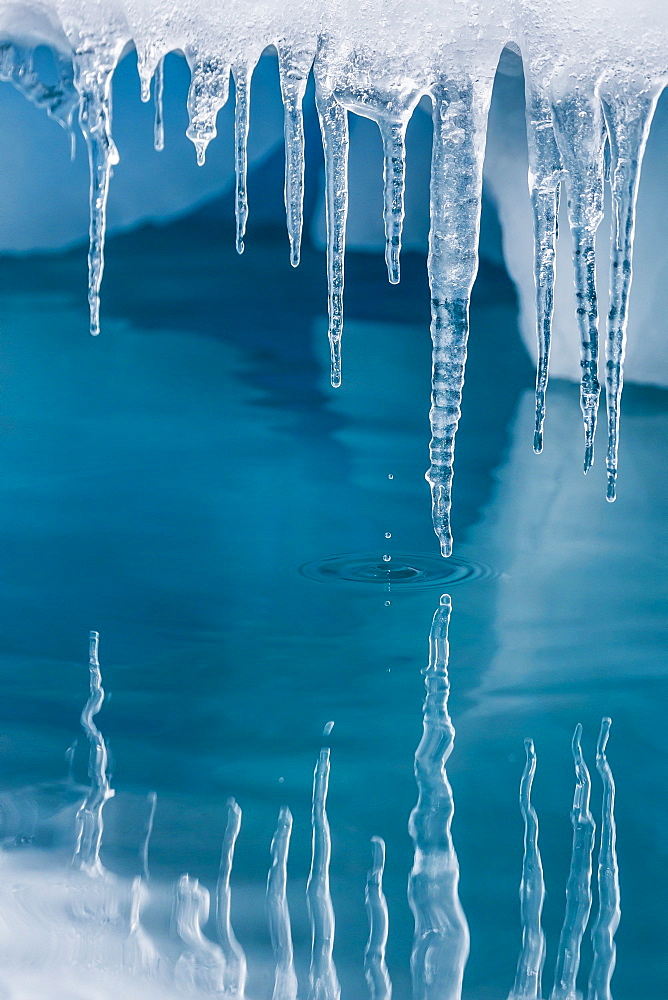 Icicles mirrored in calm water from ice floating in the Neumayer Channel near Wiencke Island, Antarctica, Polar Regions