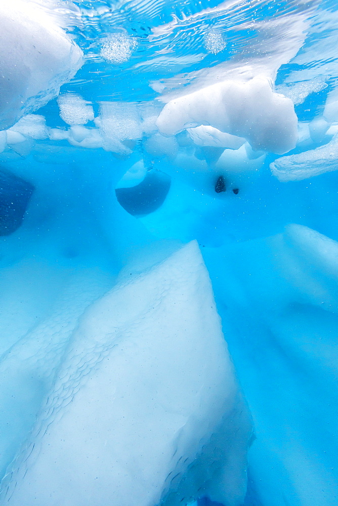 Underwater view of glacial ice in Orne Harbor, Antarctica, Polar Regions