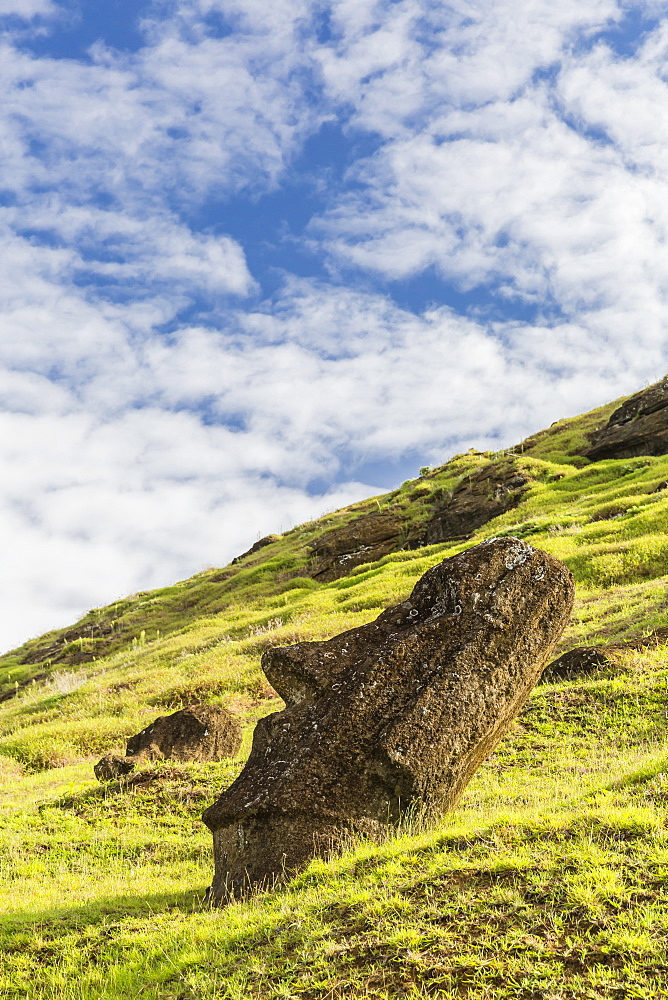 Moai sculptures in various stages of completion at Rano Raraku, the quarry site for all moai on Easter Island, Rapa Nui National Park, UNESCO World Heritage Site, Easter Island (Isla de Pascua), Chile, South America