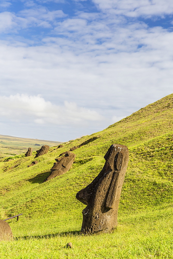 Moai sculptures in various stages of completion at Rano Raraku, the quarry site for all moai on Easter Island, Rapa Nui National Park, UNESCO World Heritage Site, Easter Island (Isla de Pascua), Chile, South America