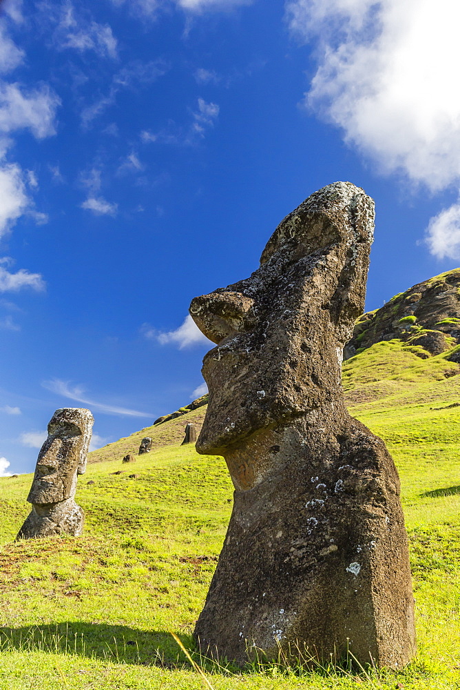 Moai sculptures in various stages of completion at Rano Raraku, the quarry site for all moai on Easter Island, Rapa Nui National Park, UNESCO World Heritage Site, Easter Island (Isla de Pascua), Chile, South America