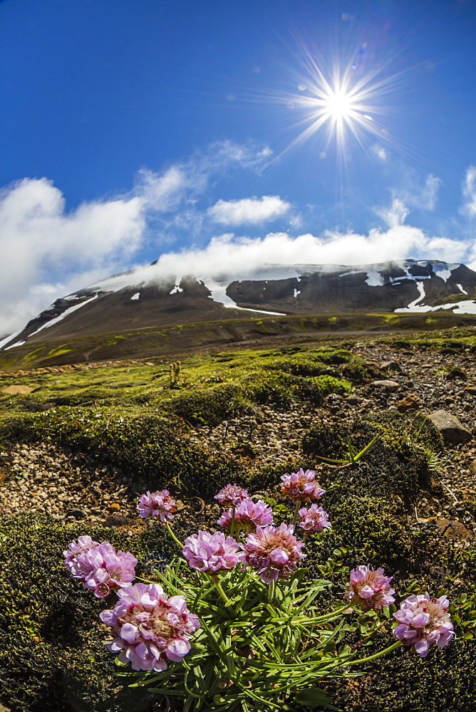 A view of the stratovolcano Snaefellsjokull, Snaefellsnes National Park, Snaefellsnes Peninsula, Iceland, Polar Regions