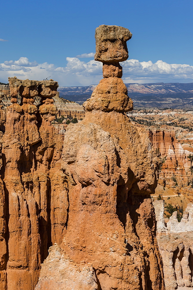 View of Thor's Hammer from the Navajo Loop Trail in Bryce Canyon National Park, Utah, United States of America, North America