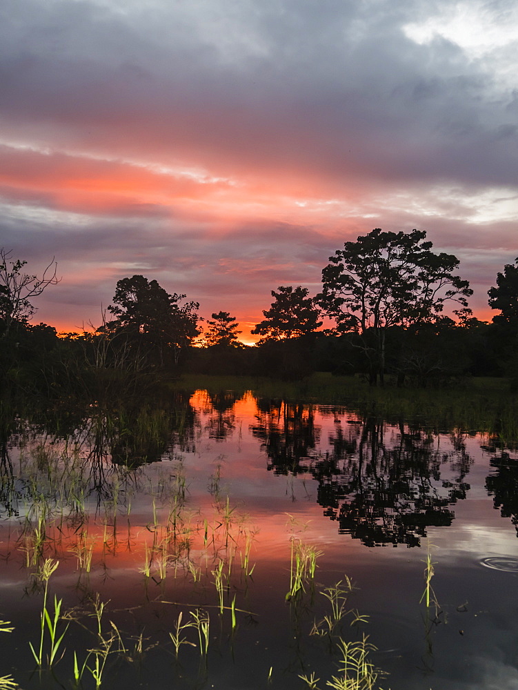 Sunset on Rio El Dorado, Pacaya-Samiria Reserve, Loreto, Peru, South America