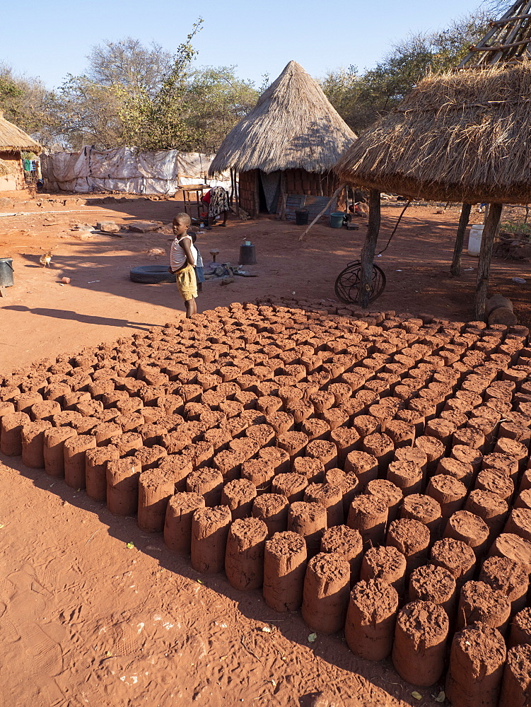 Mud bricks drying in the sun in the fishing village of Musamba, on the shoreline of Lake Kariba, Zimbabwe, Africa