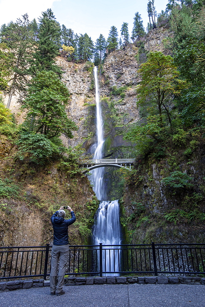 Multnomah Falls, the tallest waterfall in the state of Oregon at 620 ft. in height, Columbia River Gorge, Oregon, United States of America, North America