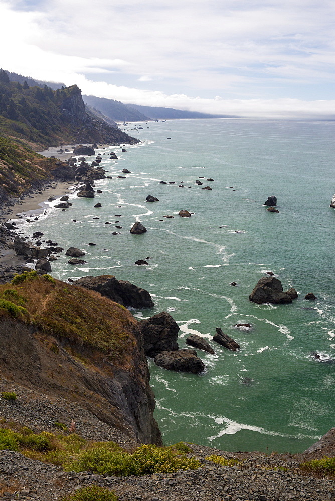 The rugged coastline along Highway 101 near Klamath, California, United States of America, North America