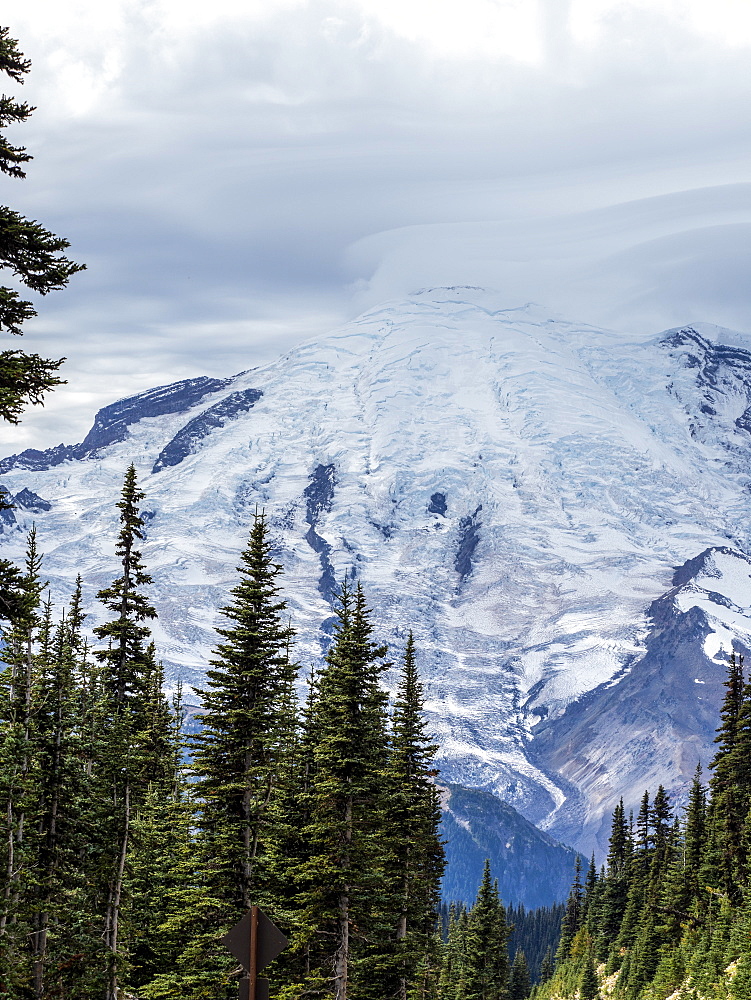 Early light on Mount Rainier from the Burroughs Mountain Trail, Mount Rainier National Park, Washington State, United States of America, North America