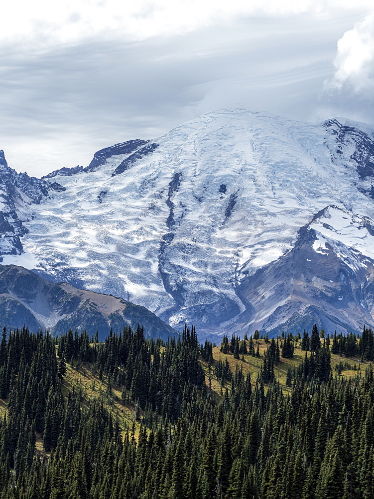 Early light on Mount Rainier from the Burroughs Mountain Trail, Mount Rainier National Park, Washington State, United States of America, North America