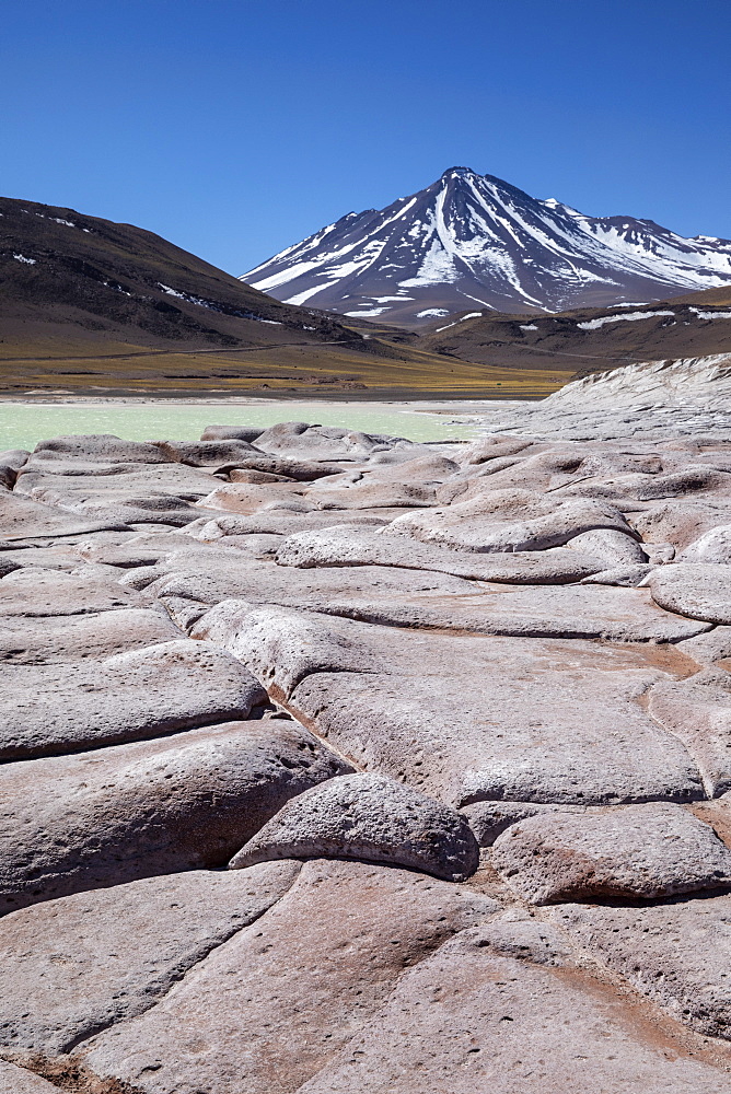 Salar de Aguas Calientes, Los Flamencos National Reserve, Antofagasta Region, Chile, South America